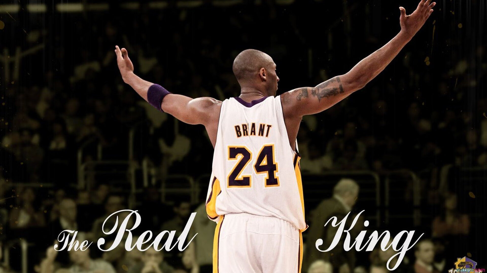 “2025世界游泳锦标赛：水上芭蕾的艺术之美与竞技较量”